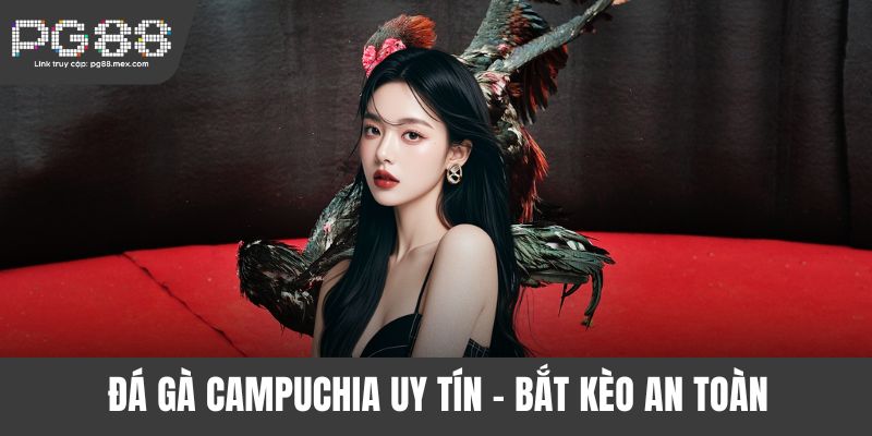 Đá gà Campuchia uy tín