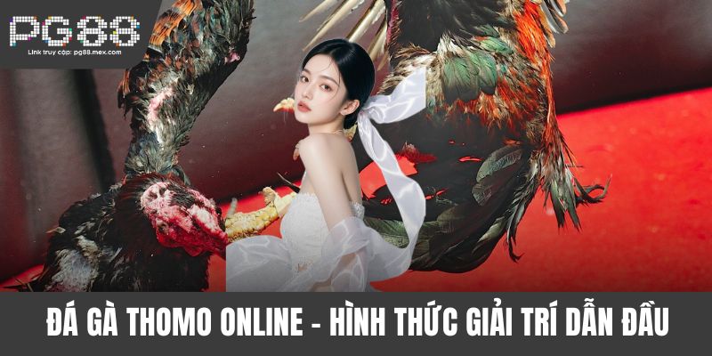 Đá gà Thomo online
