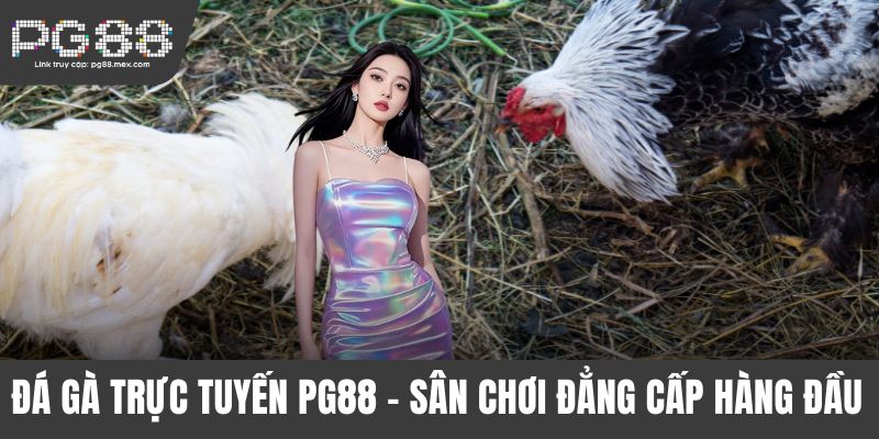 Đá gà trực tuyến PG88