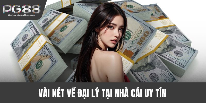 Vài nét về đại lý tại nhà cái uy tín 